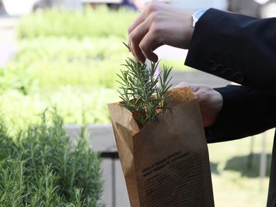 Từ y học cổ truyền đến chăm sóc da đầu hiện đại: Một nguyên lý cân bằng