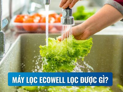 Máy lọc nước tổng Ecowell lọc được những gì?