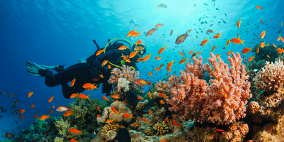 Scuba Diving in Nha Trang – Complete Guide 2025