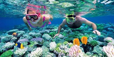 Hon Mun Island – Best Snorkeling & Diving Spot in Vietnam