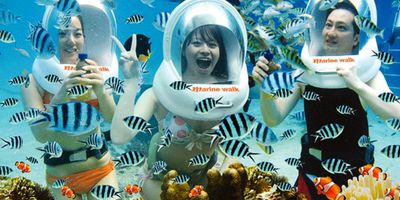 Snorkeling Nha Trang and Diving Nha Trang – Which One is Right for You?