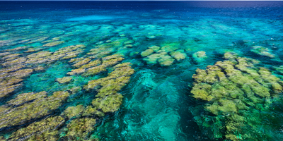 Best Snorkeling & Diving Spots in Nha Trang – Top 5 Islands 2025