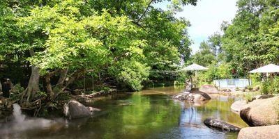 Nha Trang City & Countryside Tour – Suoi Mo Doc Tinh Glamping & Retreat