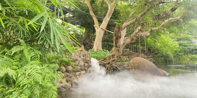 Suoi Mo Waterfall Nha Trang – Hidden Gem in the Countryside