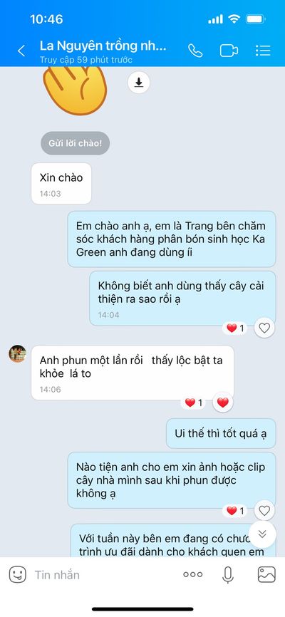 Vườn sầu riêng ông Lê Thanh Viễn trước khi dùng KA GREEN