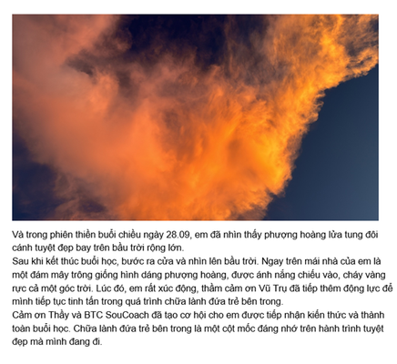 Testimonial image 3/25 – Phoenix Reborn - Healing the Inner Child