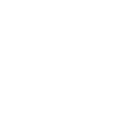 Logo Vật Lý Siêu Nhẩm