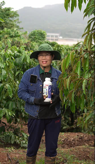 Cô Lan kiểm tra vườn sau khi dùng KA GREEN