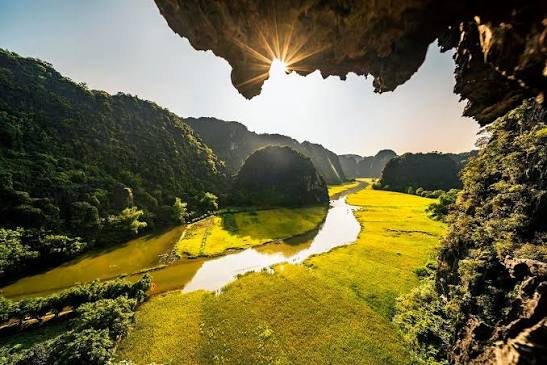 Tam Coc rice fields from a cave