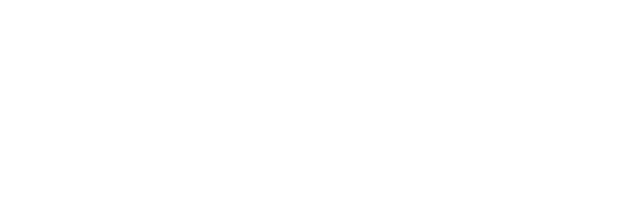 WisEdoo
