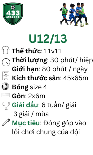 Thi đấu giao hữu