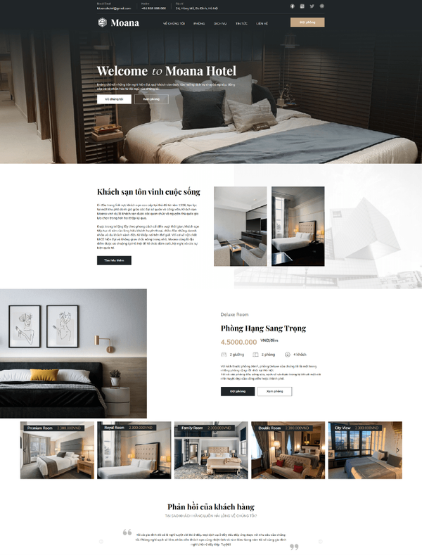 Mẫu website
