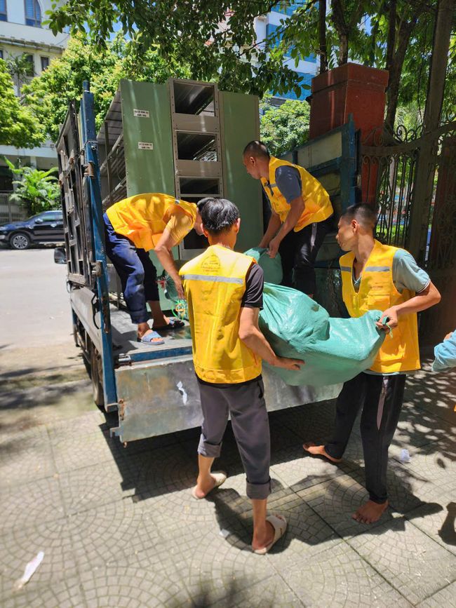 Dịch vụ đóng gói vận chuyển Kiến Vàng