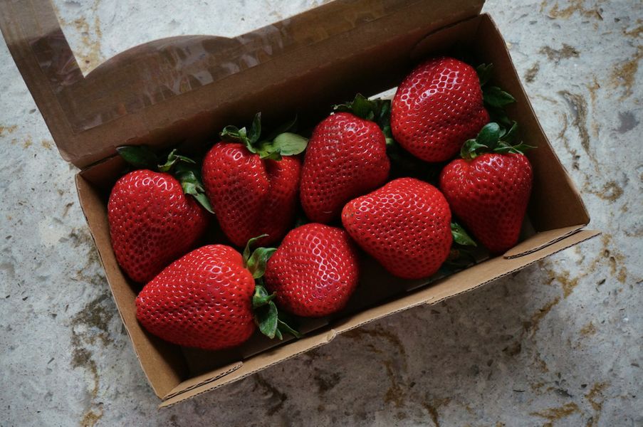 Food & Beverage Packaging