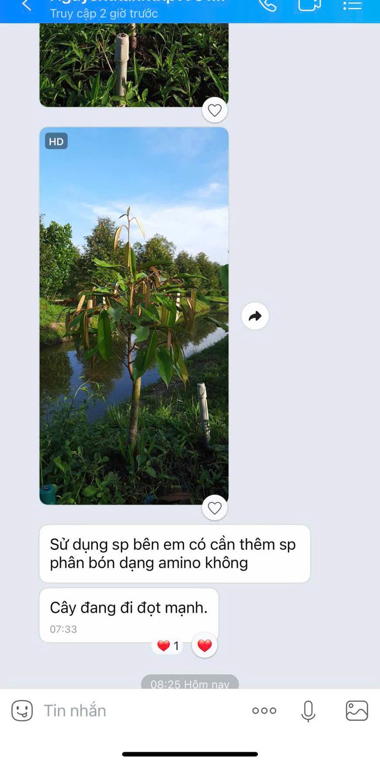 Giấy chứng nhận VINACERT