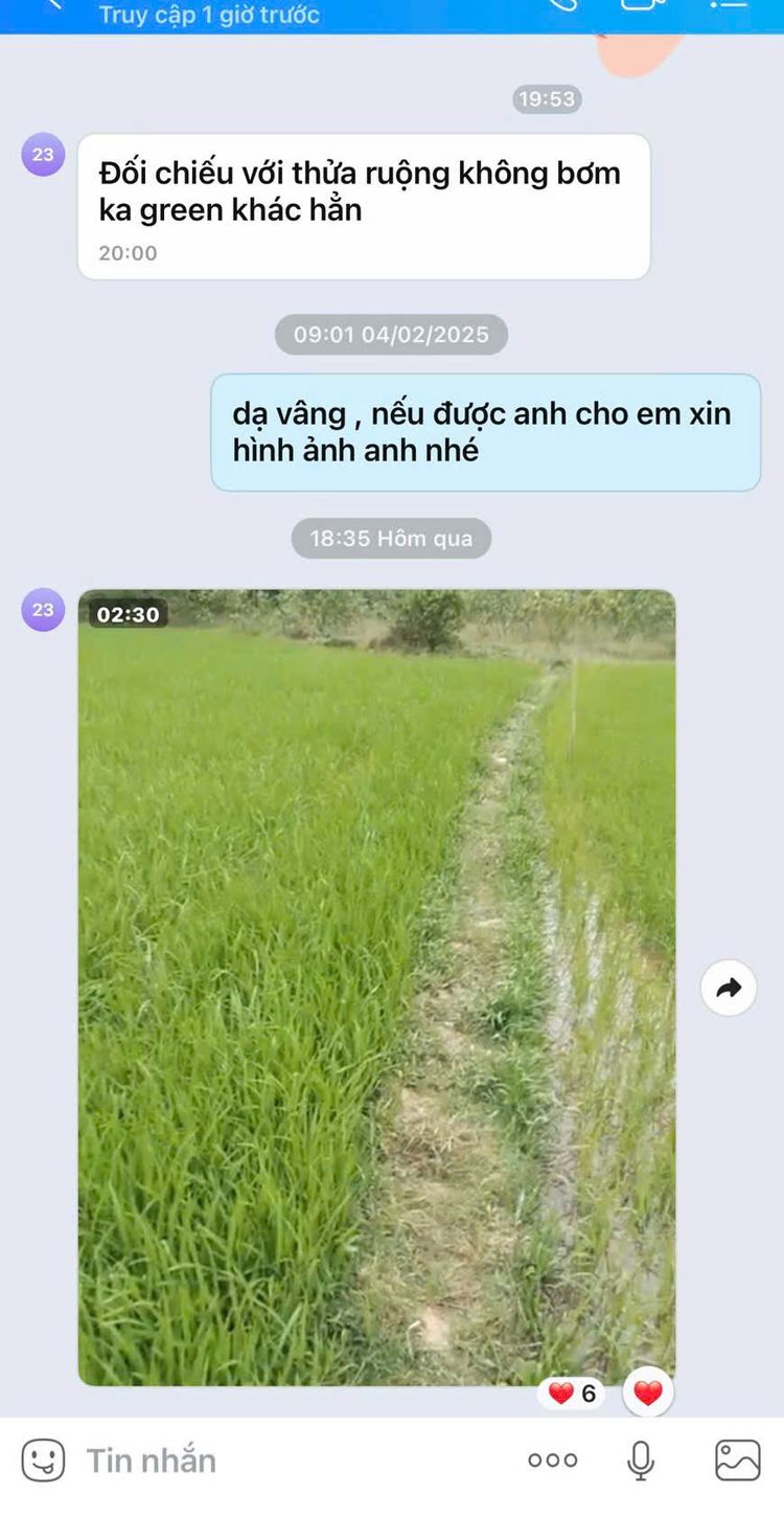 Kiểm định kim loại nặng dạng bột