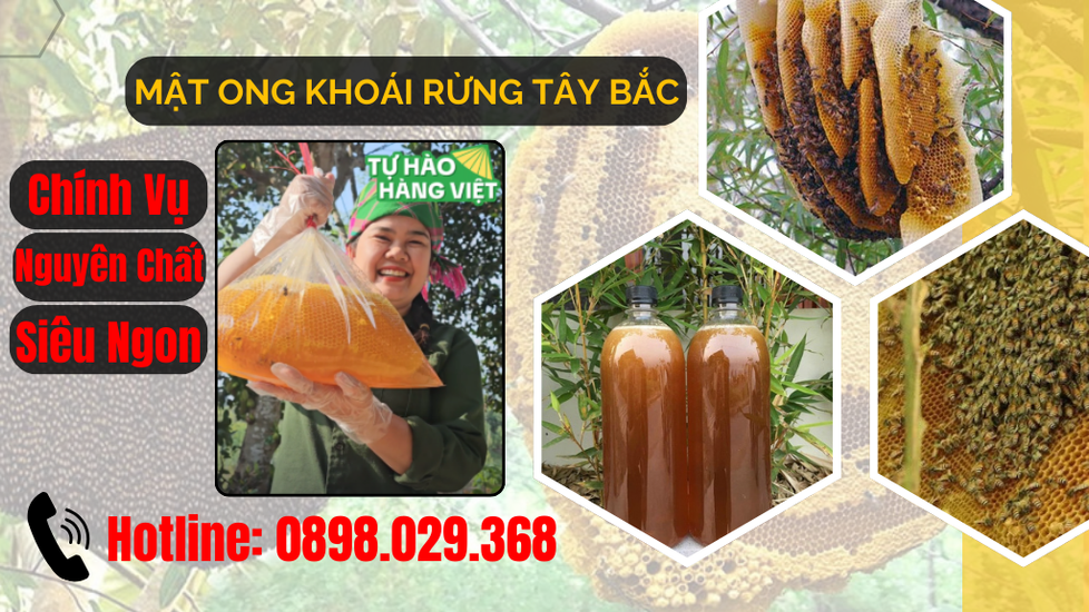Mật ong rừng nguyên chất
