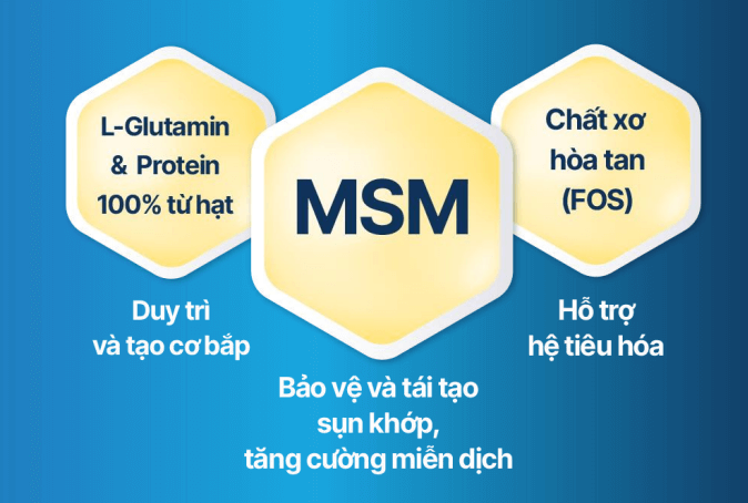 Công thức MSM - L-Glutamin - Chất xơ hòa tan