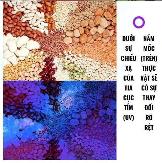 Thông số kỹ thuật 3