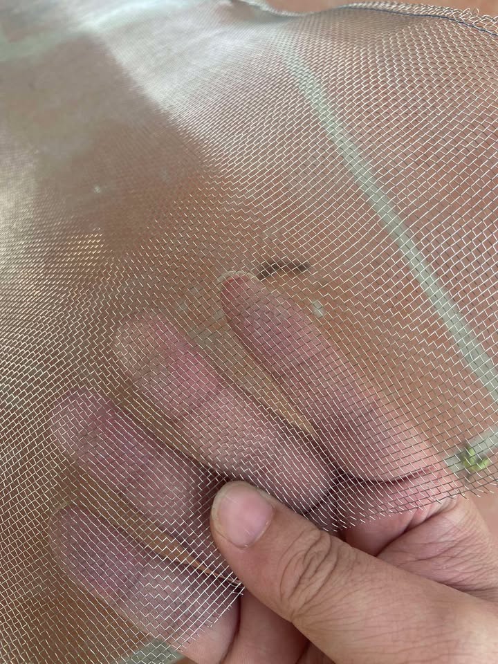 Lưới chống muỗi Inox 304 - Ảnh 4