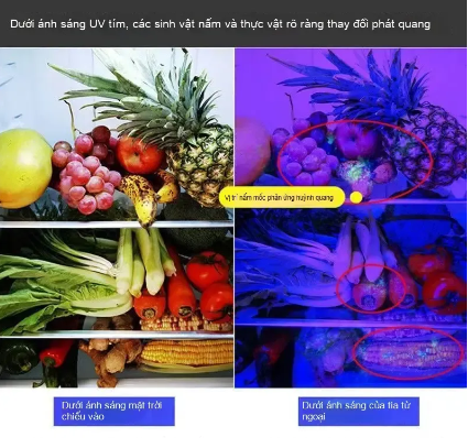 Ảnh sản phẩm 3