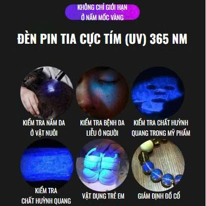 Ảnh sản phẩm 6