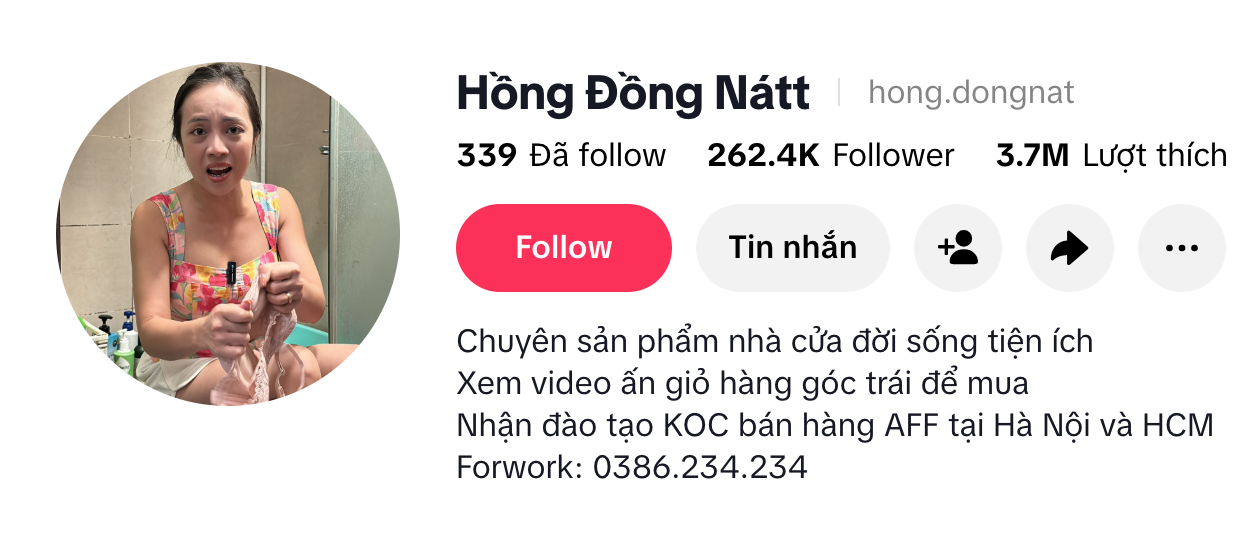 Hồng Đồng Nát